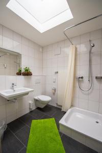 罗曼斯霍恩罗曼斯霍恩青年旅舍的浴室配有水槽、浴缸和绿色地毯。