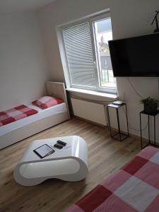 俄斯特拉发DMZ膳宿旅馆的小房间设有两张床和电视