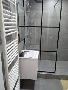 俄斯特拉发DMZ膳宿旅馆的浴室配有白色水槽和淋浴。
