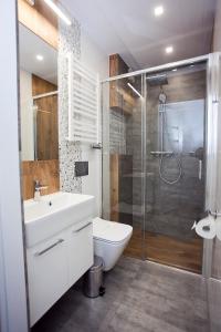 维斯瓦Willowa NO. 5 APARTAMENTS的浴室配有卫生间水槽和淋浴。