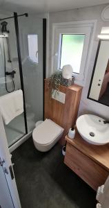 克鲁塞沃Mobile home Luka的一间带卫生间和水槽的浴室