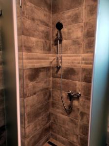 包道乔尼托毛伊Villa Grácia的浴室内设有一个带淋浴喷头的淋浴间。