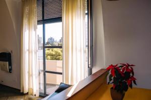罗萨里奥罗萨里奥套房酒店的一间设有大窗的房间,配有盆栽植物