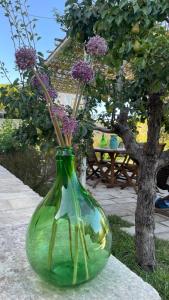 奥特朗托Bio&B Acquaviva的绿色玻璃花瓶,里面装有紫色的花