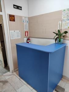 瓦尔纳ЛИДЕР ХАУС ХОСТЕЛ的一间有盆栽的房间里的一个蓝色柜台