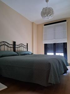 比利亚维西奥萨El Ñeru'l Cantu的一间卧室配有一张带绿色棉被的床和窗户。