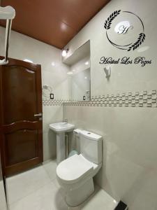 波托西Hostal Los Pozos的一间带卫生间和水槽的浴室