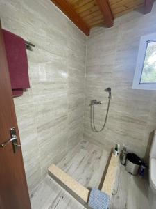 拉卡Villa Mitsialis的带淋浴的浴室和木墙