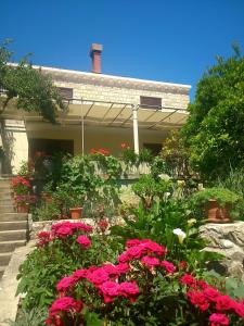 斯拉诺安通莫泽拉住宿加早餐旅馆的一座花园,在房子前方种有粉红色的花朵