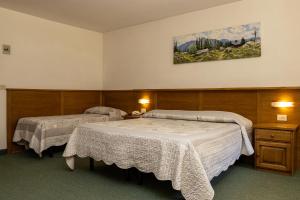 索拉加Wellness Hotel Dolomia的一间设有两张床的客房,墙上挂着一幅画