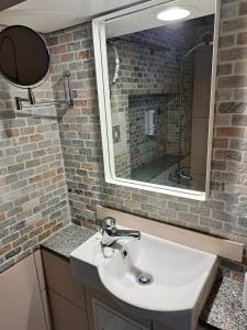 谢布尔"Les Echalas" Appartement indépendant avec cuisine en Lavaux Unesco的一间带水槽和镜子的浴室