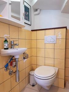 谢布尔"Les Echalas" Appartement indépendant avec cuisine en Lavaux Unesco的一间带卫生间和水槽的浴室