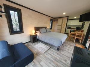 马拉卡韦罗Tiny House Suite Los Mallines de Malalcahuello的一间卧室配有一张床、一张沙发和一台电视。