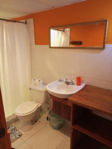 博卡斯德尔托罗Surfari Bocas的一间带卫生间、水槽和镜子的浴室