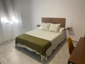 贝纳卢普-卡萨斯维耶哈斯Suites Benalup Centro的一间卧室配有一张带绿毯和枕头的床。