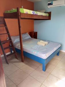 博卡斯德尔托罗Surfari Bocas的带双层床的客房中的一张双层床