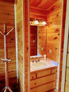威尔明顿NewVida Preserve的一间带水槽和镜子的浴室
