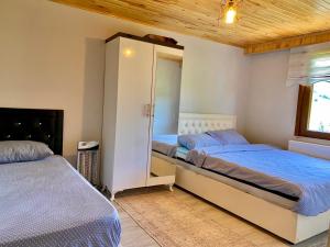 AybastıPersembe House的一间卧室配有两张床和镜子