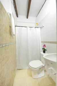 卡塔赫纳Casa Hotel Terraza del Cabrero的一间带卫生间和水槽的浴室