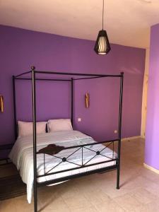 圣路易斯HÔTEL ETOILE DU SUD的一间卧室配有一张紫色墙壁的床