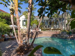 开普敦Mediterranean Villa Guesthouse的一座带游泳池和两棵棕榈树的房子