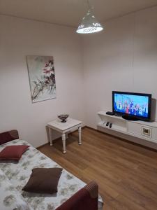 第比利斯APARTMENT in TBILISI Koko的一间带电视和沙发的客厅