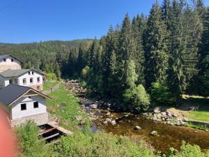 科热诺夫Kořenov byt Alda的享有河流美景,拥有房屋和树木