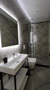 地拉那Vila 90 Boutique Hotel的一间带水槽、淋浴和卫生间的浴室