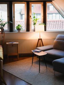 代特莫尔德Gemütliche Oase in Detmolder City的客厅配有沙发和桌子