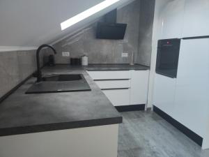 锡尼Apartment Loft的厨房配有水槽和冰箱