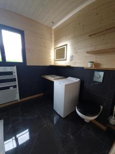 Saint-Vigor-le-GrandLe Chalet de St Vigor的一间带卫生间和水槽的小浴室
