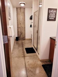 圣路易斯Staycation City Loft Free Gated Parking的一间带步入式淋浴间和卫生间的浴室