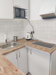 格拉纳达Lolas Cozy Studio的厨房柜台设有水槽和微波炉