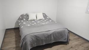 乌斯怀亚Departamento Yekamush 3 Ushuaia的一张带灰色毯子和枕头的床