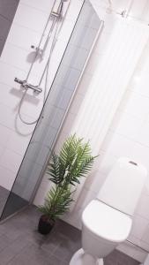 奥卢Lovely 2R apartment的一间带卫生间和植物的浴室