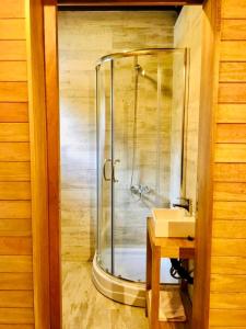 拉安戈斯图拉镇Loft Girasoles Vla的水槽旁的玻璃门淋浴
