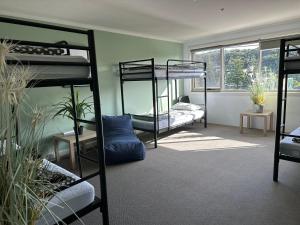 坎贝尔港Sow and Piglets Guesthouse的客房设有三张双层床和一扇窗户。