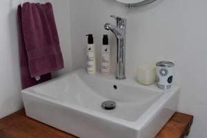纳塔列斯港Casa Entre Ulmos y Lengas的浴室内的一个白色水槽,配有紫色毛巾