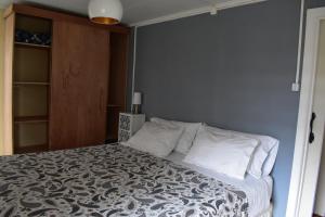纳塔列斯港Casa Entre Ulmos y Lengas的一间卧室设有一张床和蓝色的墙壁
