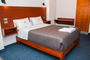 瓦拉斯Hotel Turístico Everest的一间卧室配有一张大床和木制床头板