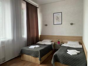 日托米尔Hotel Femina的酒店客房设有两张床和窗户。