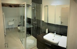布尔格-罗伊兰德POSTRELAIS ARDENNES "Beau Séjour"的一间带水槽和玻璃淋浴的浴室