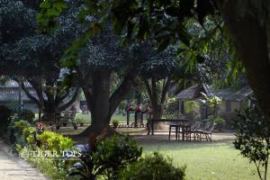 奇旺Tiger Tops Tharu Lodge的公园里设有桌椅和树木