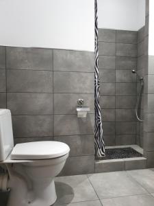 华沙维拉皮尔斯酒店的一间带卫生间和淋浴的浴室