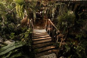 VillabaMonte Alto Eco Resort Villas的花园中种有植物的楼梯