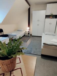 克拉科夫Centro Unita的一间带两张床和盆栽的客厅