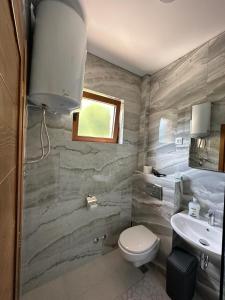 采蒂涅Markovic Winery and Estate apartments的一间带卫生间和水槽的浴室
