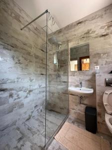 采蒂涅Markovic Winery and Estate apartments的带淋浴、盥洗盆和卫生间的浴室