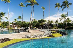 瓦克拉瓦克拉海洋俱乐部万豪酒店&度假村的棕榈树度假村的游泳池