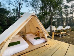 磅士卑省Camping Park Resort的木甲板上铃 ⁇ 帐篷内的两张床